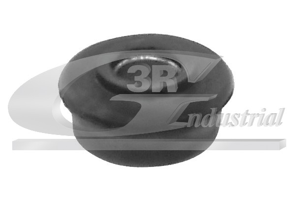 3RG Lagerung, Lenker 50646 Vorderachse rechts für RENAULT