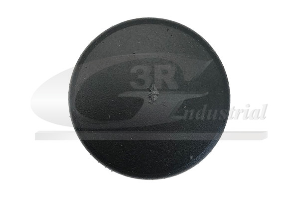 3RG Puffer, Motorhaube 85308 für Ford
