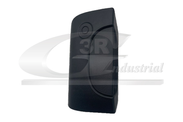 3RG Türgriff 69624 hinten für RENAULT