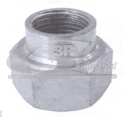 3RG Mutter, Achsstummel 83027 für Citroën/Peugeot Ford