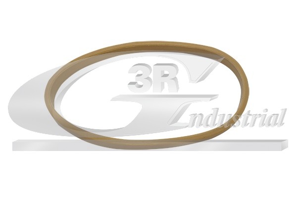 3RG Dichtung, Ansaugkrümmer 82686 für RENAULT