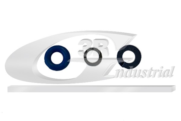 3RG Dichtringsatz, Einspritzventil 83765 für VW