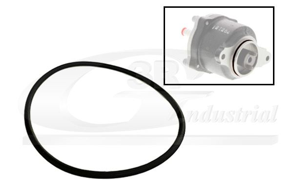 3RG Dichtung, Unterdruckpumpe 81091 für RENAULT