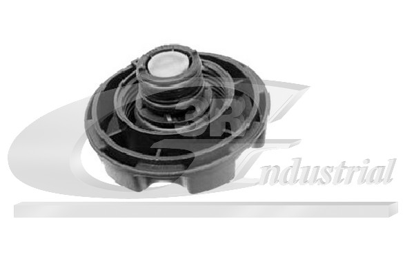 3RG Verschlussdeckel, Kühlmittelbehälter 80116 für BMW