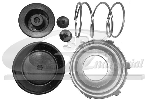 3RG Reparatursatz, Kraftstoffpumpe 80033