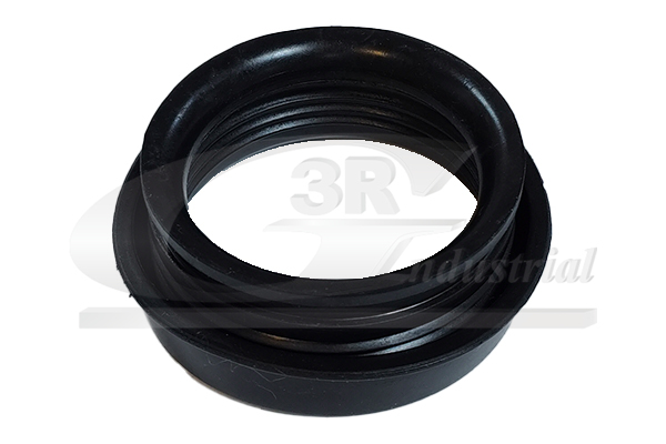 3RG Dichtring, Ansaugschlauch-Luftfiltergehäuse 80986 für Fiat