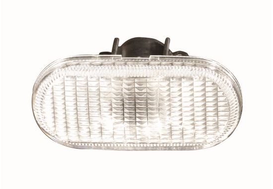 ABAKUS Blinkleuchte 5511403nuec seitlich für NISSAN RENAULT DACIA SMART