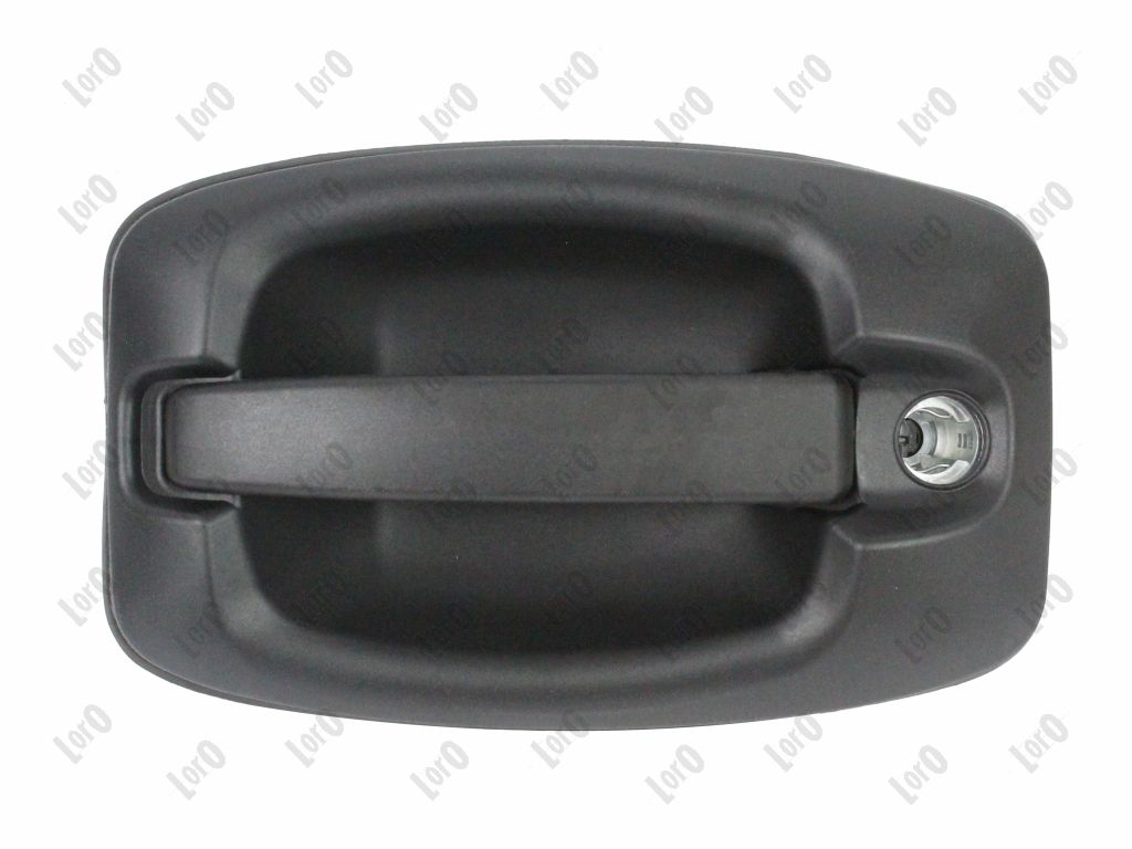 ABAKUS Türgriff 132022021 hinten links für Iveco