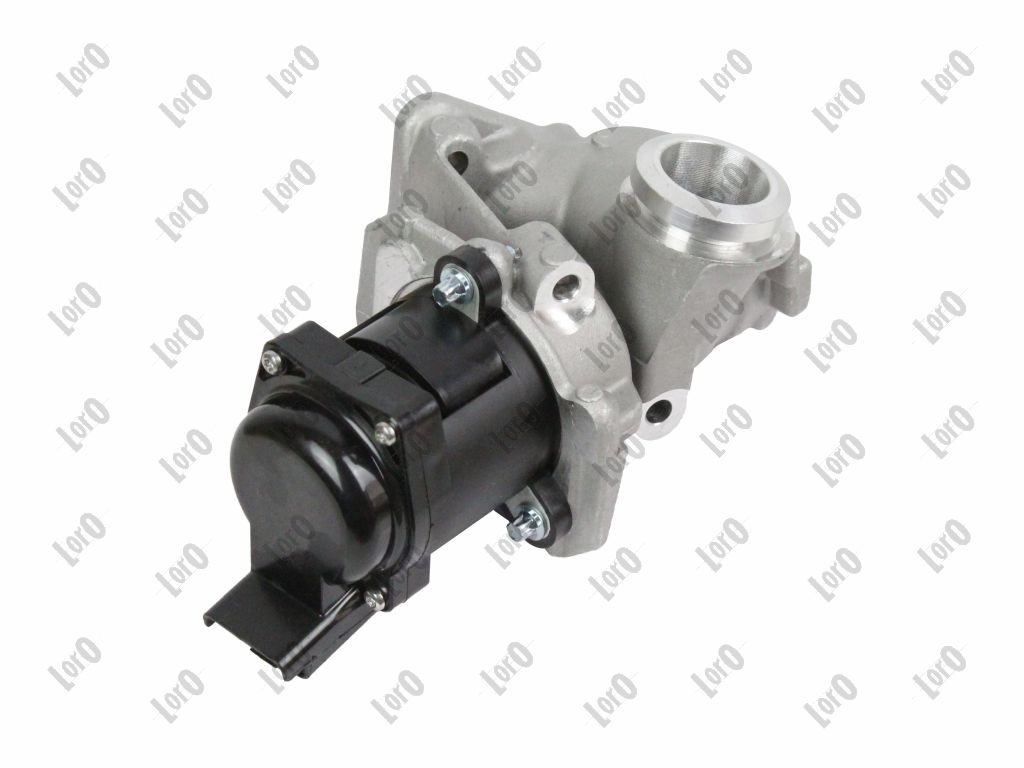 ABAKUS AGR-Ventil 12101005 für Citroën/Peugeot Ford MINI Volvo Fiat Citroën MAZDA