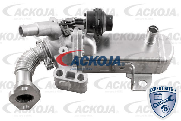 ACKOJA AGR-Modul a38630004 für NISSAN