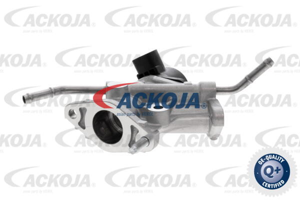 ACKOJA AGR-Ventil a70630027 für TOYOTA