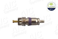 AIC Ventilkern, Serviceventil "Original AIC Quality", Art.-Nr. 71323