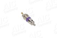 AIC Ventilkern, Serviceventil "Original AIC Quality", Art.-Nr. 71323