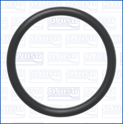 AJUSA Dichtung, Wasserpumpe 16547700 für Ford Opel LEXUS Citroën TOYOTA