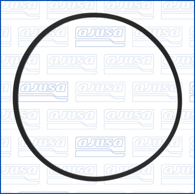 AJUSA Dichtung, Wasserpumpe 24030100 für Ford Opel Fiat Citroën Suzuki
