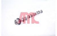 AMC Nockenwelle, Art.-Nr. 647292