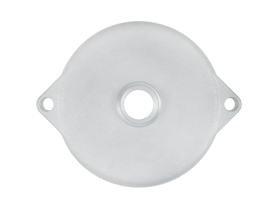 AS-PL Starterdeckel, Vergaser sbr0048