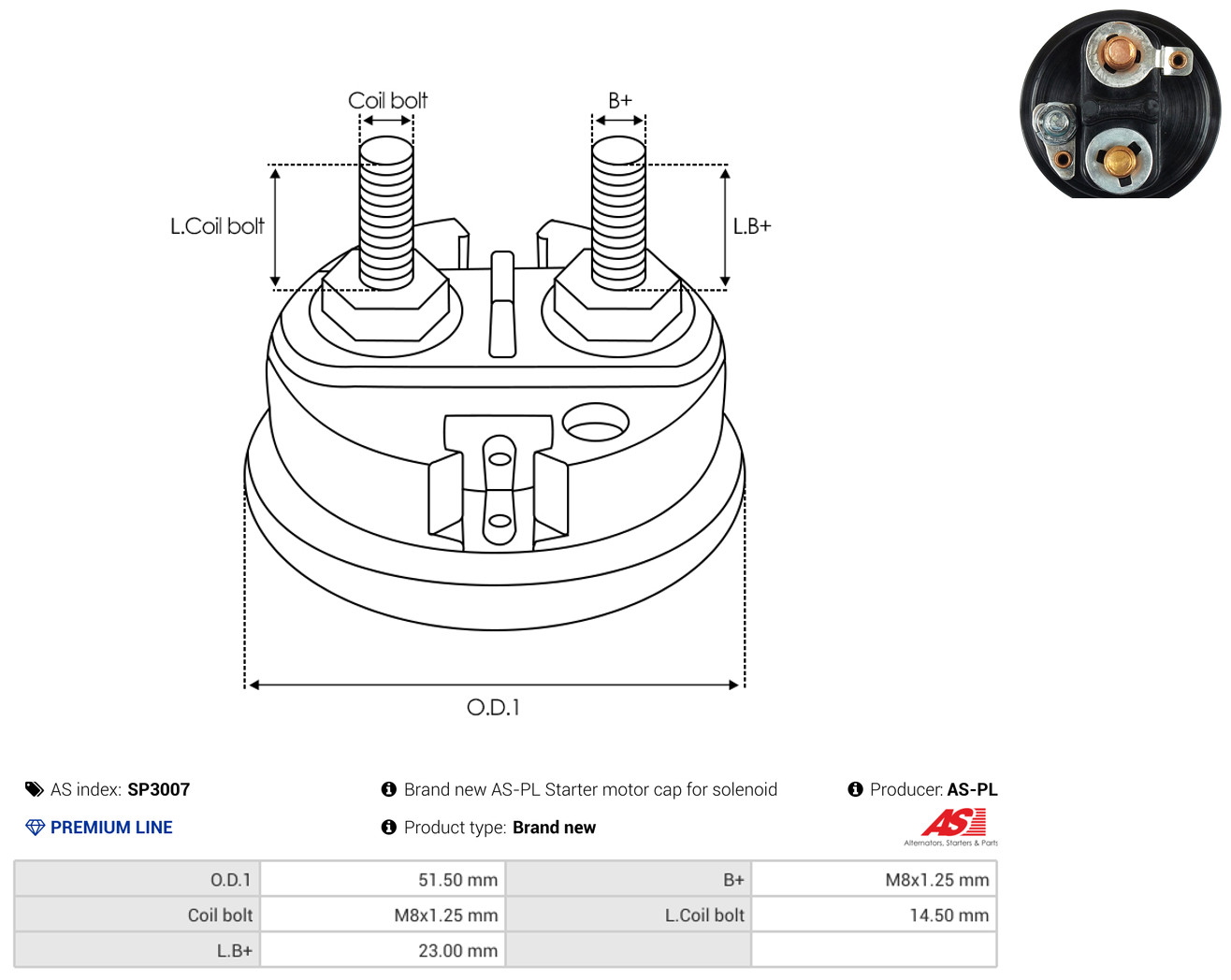 AS-PL Reparatursatz, Starter sp3007