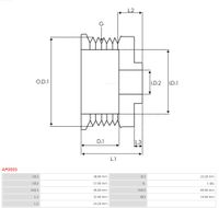 AS-PL Riemenscheibe, Generator "Brandneu | AS-PL | Lichtmaschinenriemenscheiben", Art.-Nr. AP0005