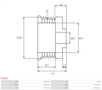 AS-PL Riemenscheibe, Generator "Brandneu | AS-PL | Lichtmaschinenriemenscheiben", Art.-Nr. AP3001