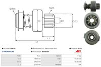 AS-PL Freilaufgetriebe, Starter "Brandneu | AS-PL | Anlasser-ritzeltriebe", Art.-Nr. SD9131
