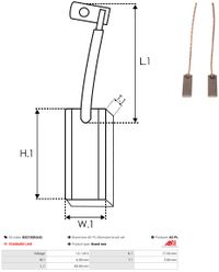 AS-PL Kohleb�rste, Generator "Brandneu | AS-PL | Lichtmaschinenb�rsten", Art.-Nr. BX213(BULK)
