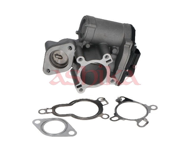 ASHIKA AGR-Ventil 15001104 für Vaughall RENAULT NISSAN
