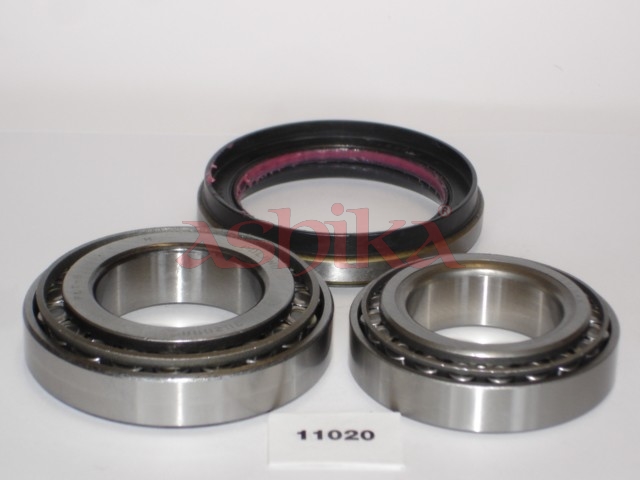 Ashika Radlagersatz 4411020 Für Nissan