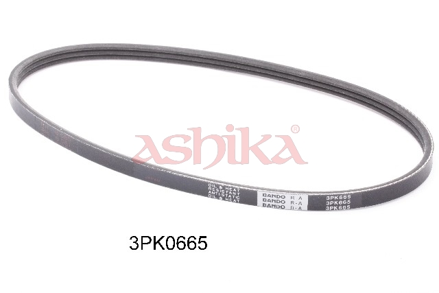 ASHIKA Keilrippenriemen 1123pk665 für CHEVROLET