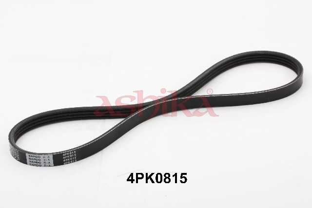 ASHIKA Keilrippenriemen 1124pk815 für Suzuki HONDA NISSAN TOYOTA HYUNDAI