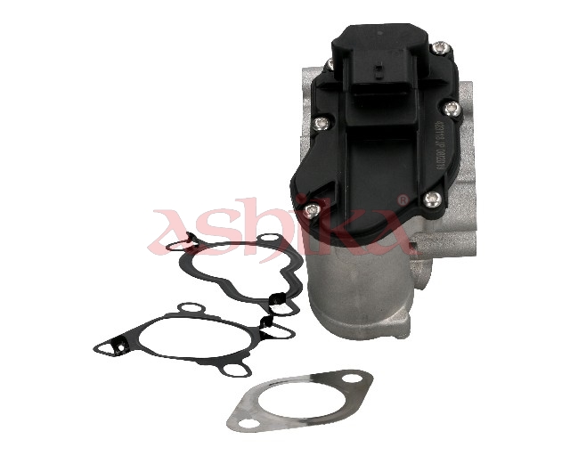 ASHIKA AGR-Ventil 15001113 für Opel GM NISSAN RENAULT