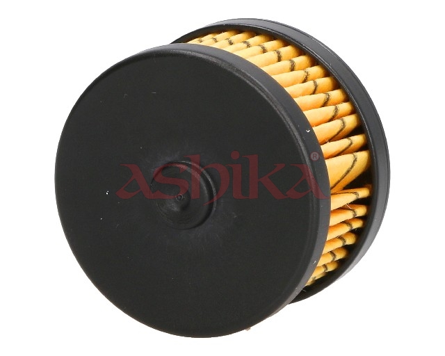 ASHIKA Kraftstofffilter 10gas22s Filtereinsatz 22mm für Opel Fiat