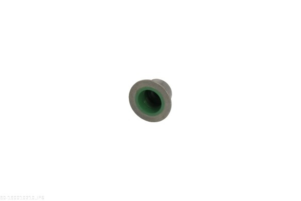 AUTOMEGA Dichtring, Ventilschaft 190010210 für Ford