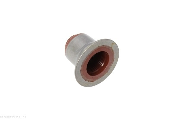 AUTOMEGA Dichtring, Ventilschaft 190011310 für Ford