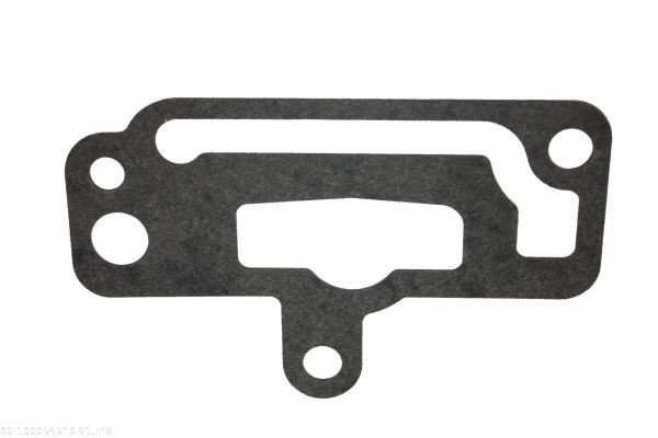 AUTOMEGA Dichtung, Kühlmittelflansch 190054510 für Opel GM