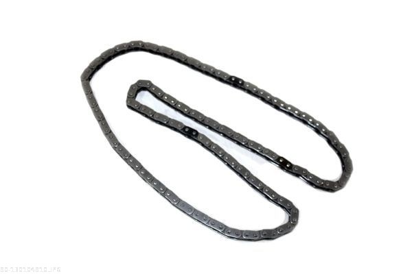 AUTOMEGA Steuerkette 130104910 für Opel GM SAAB