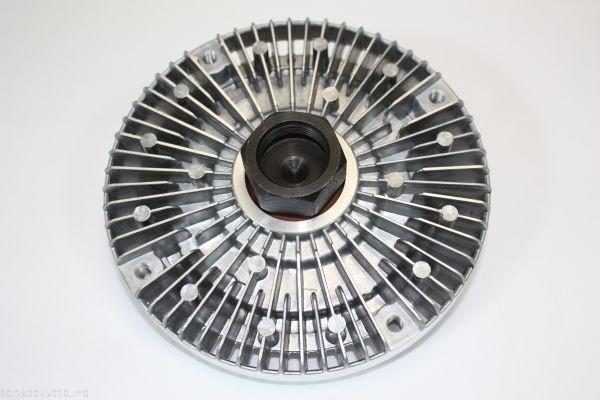 AUTOMEGA Kupplung, Kühlerlüfter 160055910 für SEAT Audi