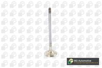 BGA Auslassventil, Art.-Nr. V090106