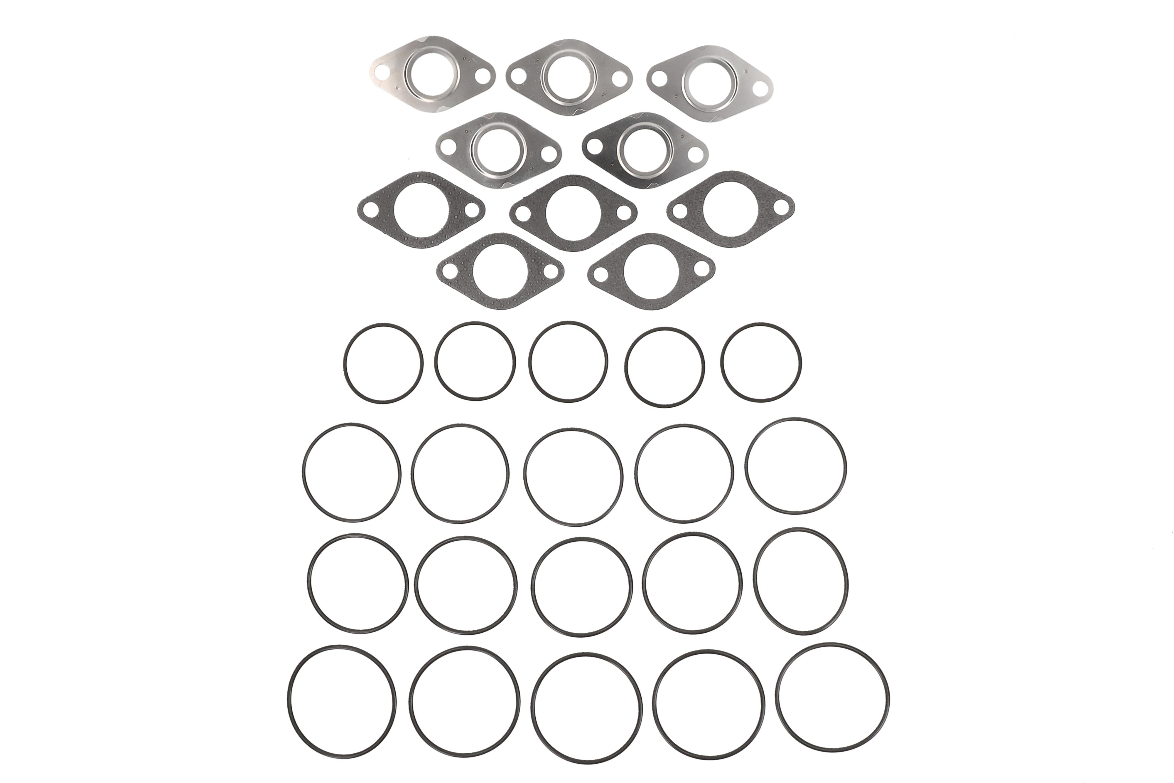 F.BECKER Dichtungssatz, AGR-System 50810090 für Ford GM VAG