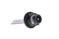 f.becker_line Glhlampe, Hauptscheinwerfer "D2S 10000K / 85V / 35W / 1 St.", Art.-Nr. 74370011