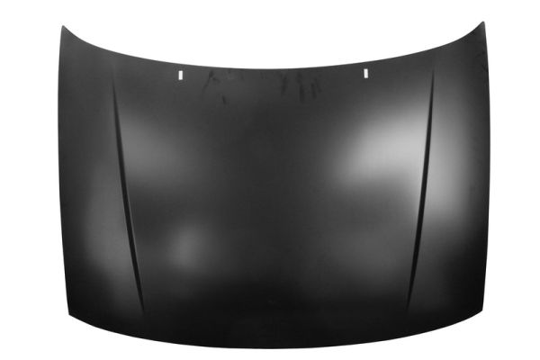 BLIC Motorhaube  für VW AUDI 6N0823031 6N0823031D 6803-00-9504280P