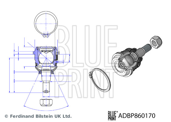 Blue Print Traggelenk Hyundai - Bild 3