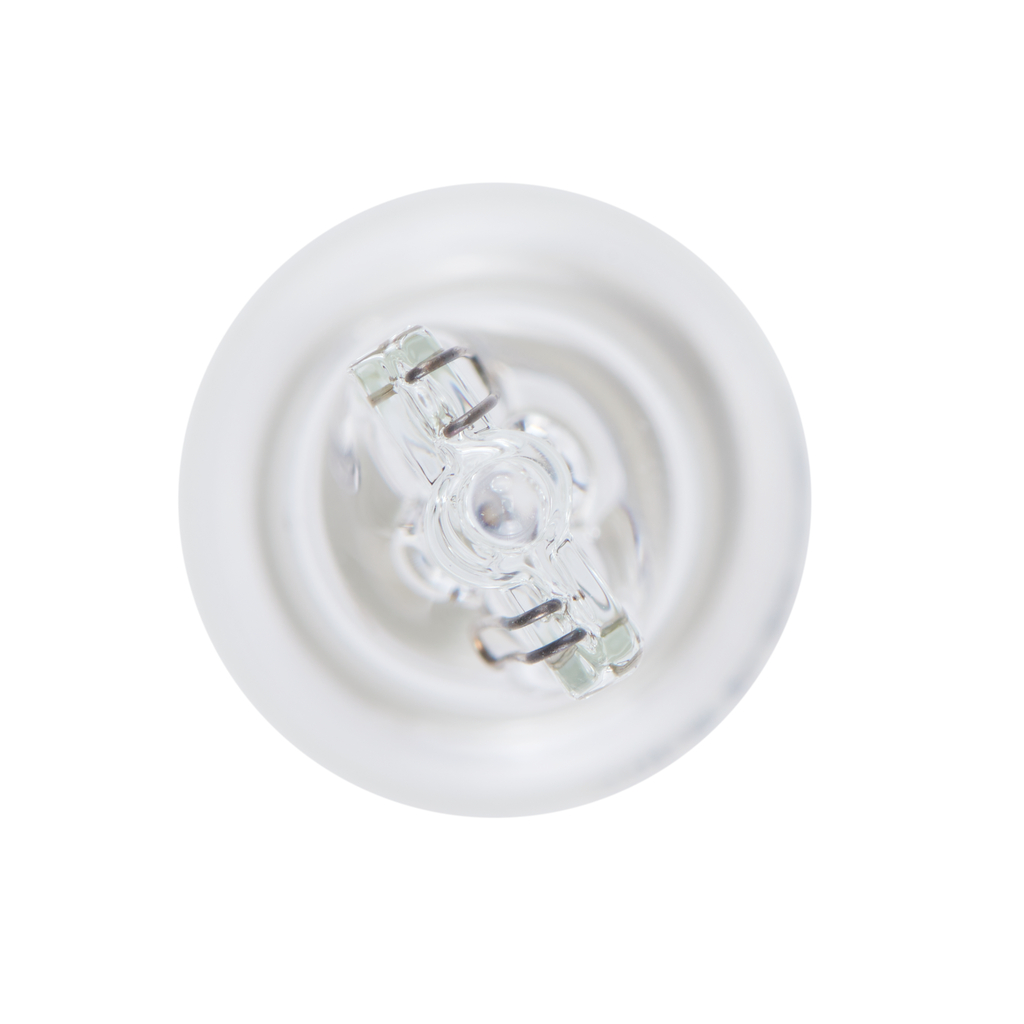 BOSCH Glühlampe, Rückfahrleuchte Blinkleuchte Pure Light BL 1987301049 W16W für YAMAHA Iveco VW