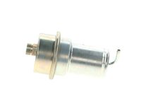 BOSCH Druckspeicher, Kraftstoffdruck, Art.-Nr. 0 438 170 004