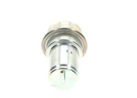 BOSCH Druckspeicher, Kraftstoffdruck, Art.-Nr. 0 438 170 004