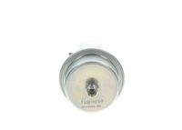 BOSCH Druckspeicher, Kraftstoffdruck, Art.-Nr. 0 438 170 017