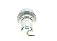 BOSCH Druckspeicher, Kraftstoffdruck, Art.-Nr. 0 438 170 017