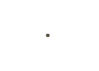 BOSCH Dichtring, Einspritzventil, Art.-Nr. F 00V H05 102
