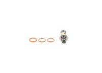 BOSCH Reparatursatz, Kraftstoffpumpe, Art.-Nr. 1 587 010 532