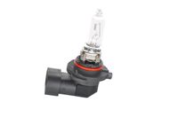 BOSCH Glühlampe, Fernscheinwerfer "ECO WS", Art.-Nr. 1 987 302 807